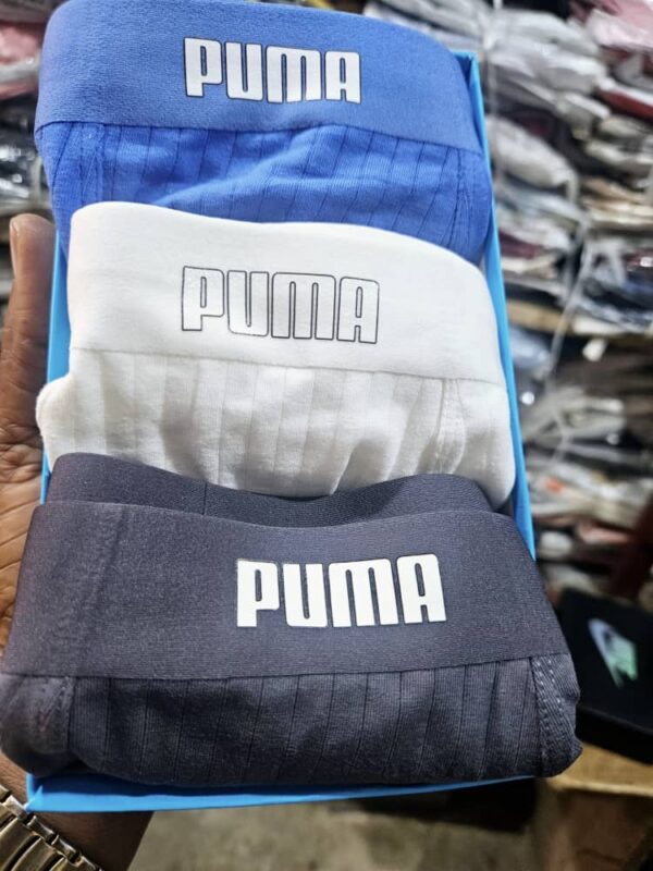 Puma Boxers
