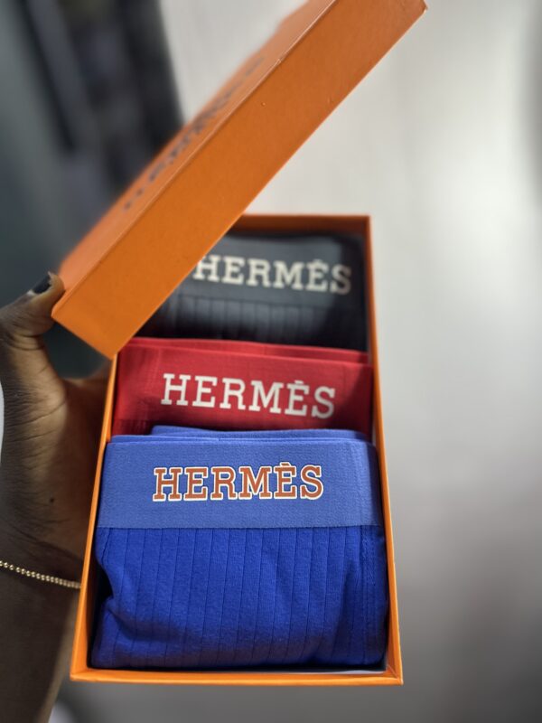 Luxury Hermes 3in1 Boxer