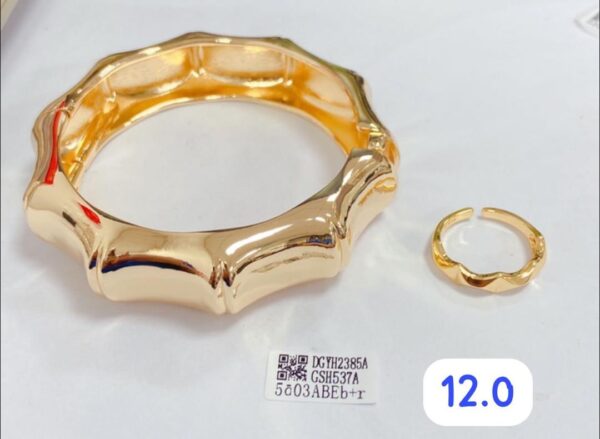 Collections of hand bangles