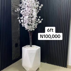 Big HEXAGON fibre pot with plant