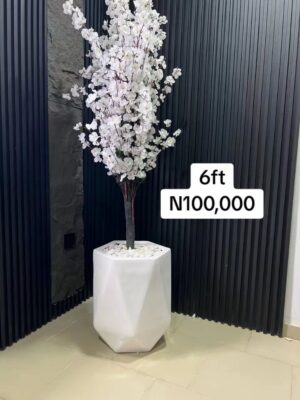 Big HEXAGON fibre pot with plant