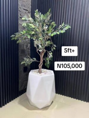 Big HEXAGON fibre pot with plant