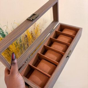 6 SLOT WATCH ORGANIZERS