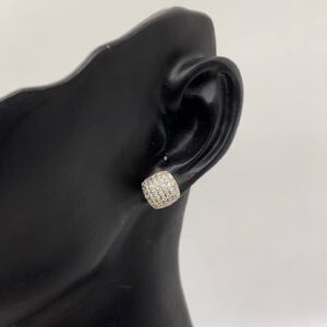 Valentine Special Earrin