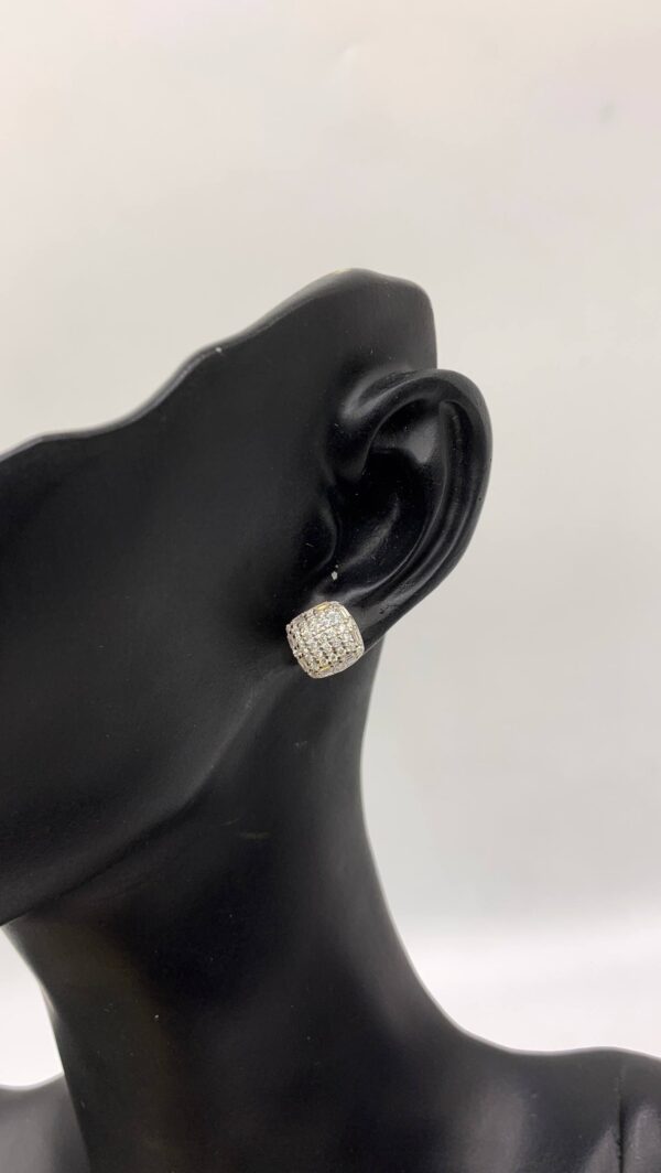 Valentine Special Earrin