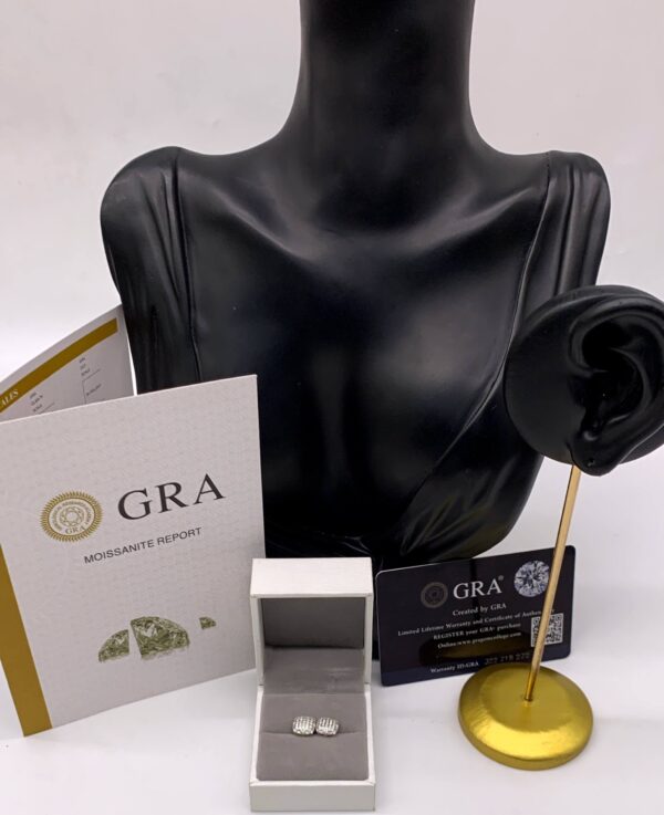 Valentine Special Earrin