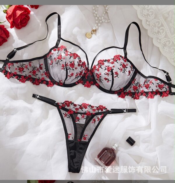 Bra and pant  set