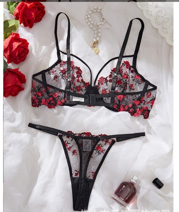 Bra and pant  set